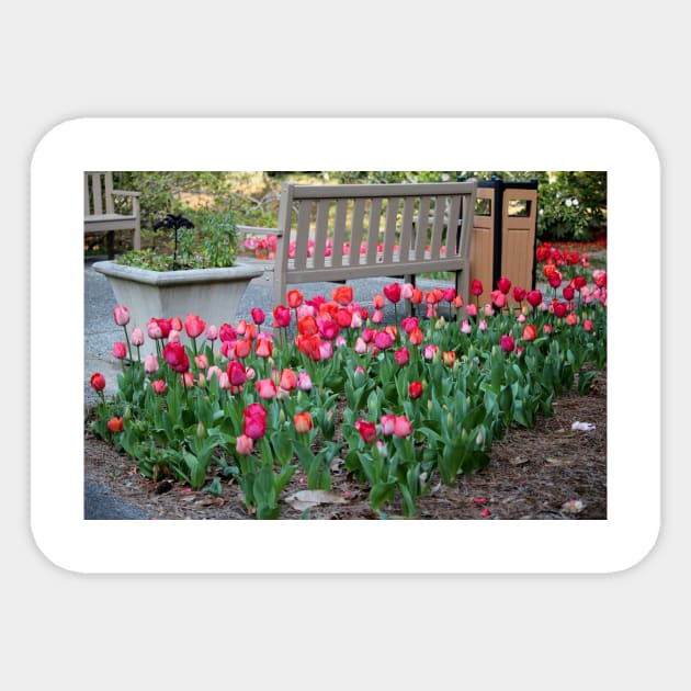 Sit With The Tulips Sticker by Cynthia48